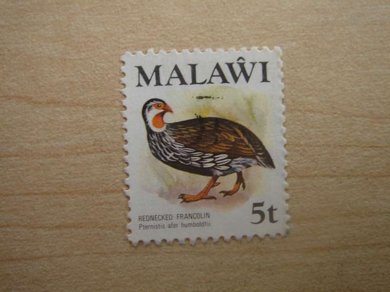 1975 Malawi - Red-necked Francolin - SG475 used, stamped