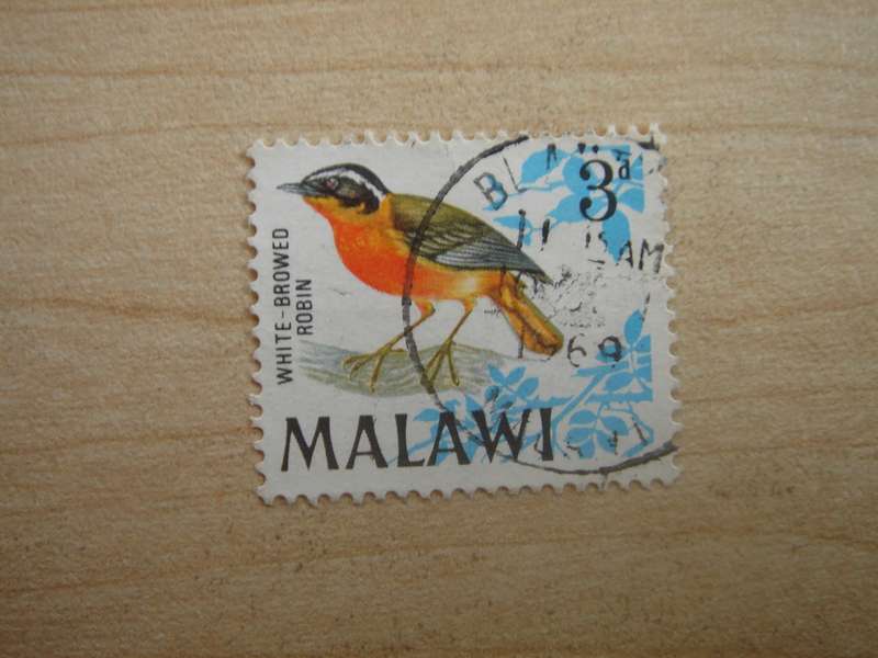 1968 Malawi - White-browed Robin - SG312 used, stamped