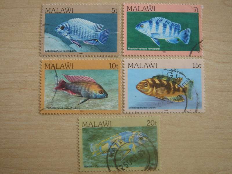 1984 Malawi - Fish - 5,7,10,15,20t used, stamped