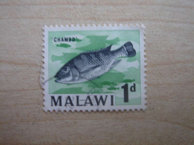 1964 Malawi - Chambo - SG216 used, stamped