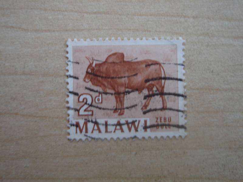 1964 Malawi - Zebu - SG217 used, stamped