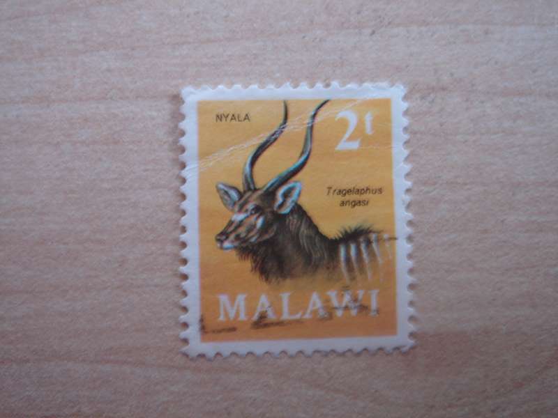 1971 Malawi - Nyala - SG376 used, stamped