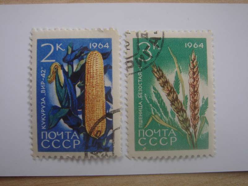 1964 USSR - Maize & Wheat - SG3009-3010 used, stamped