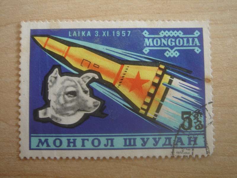 1963 Mongolia - 'Laika' - SG272 used, stamped