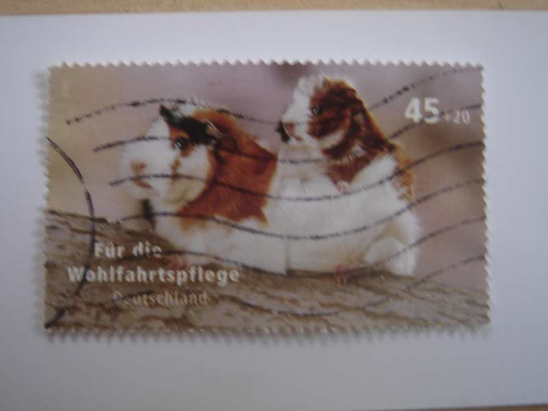 2007 Deutschland MiNr 2630 used, stamped