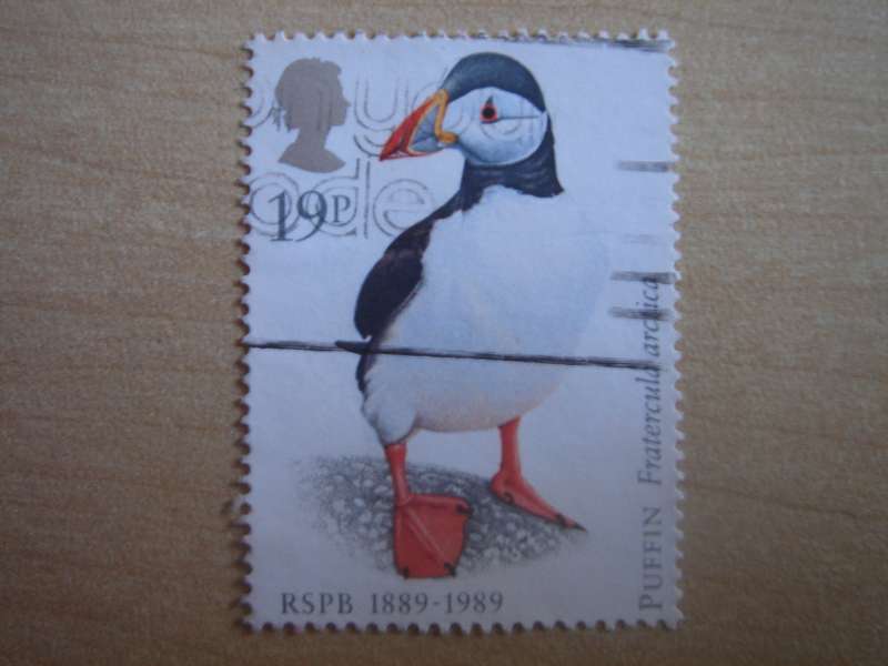 1989 Great Britain - Puffin 19 P used, stamped