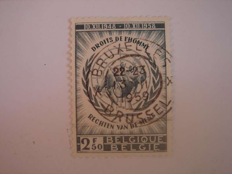 1958 Belgium - Human Rights SG1674 used, stamped