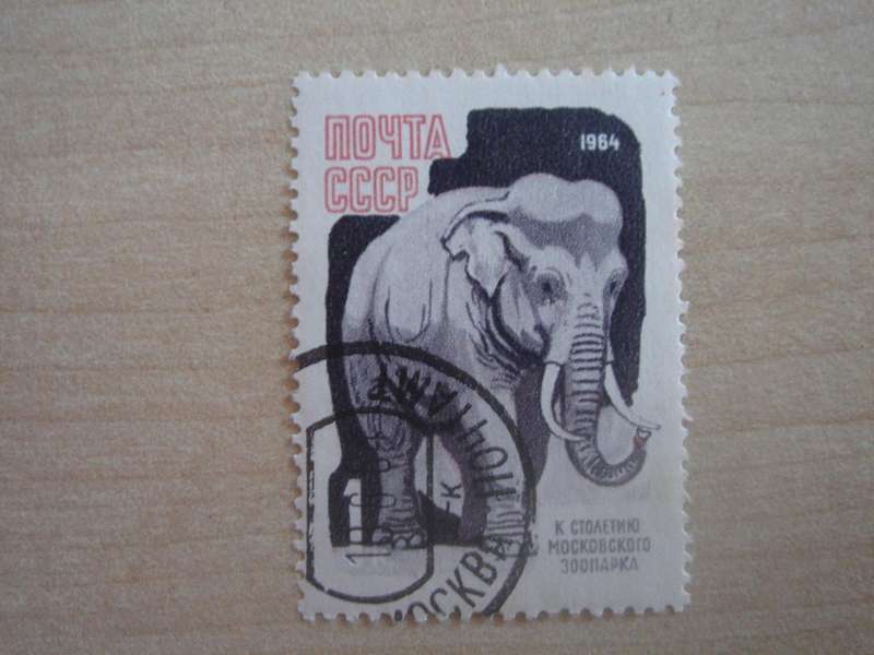 1964 USSR - Elephant - SG3000 stamped