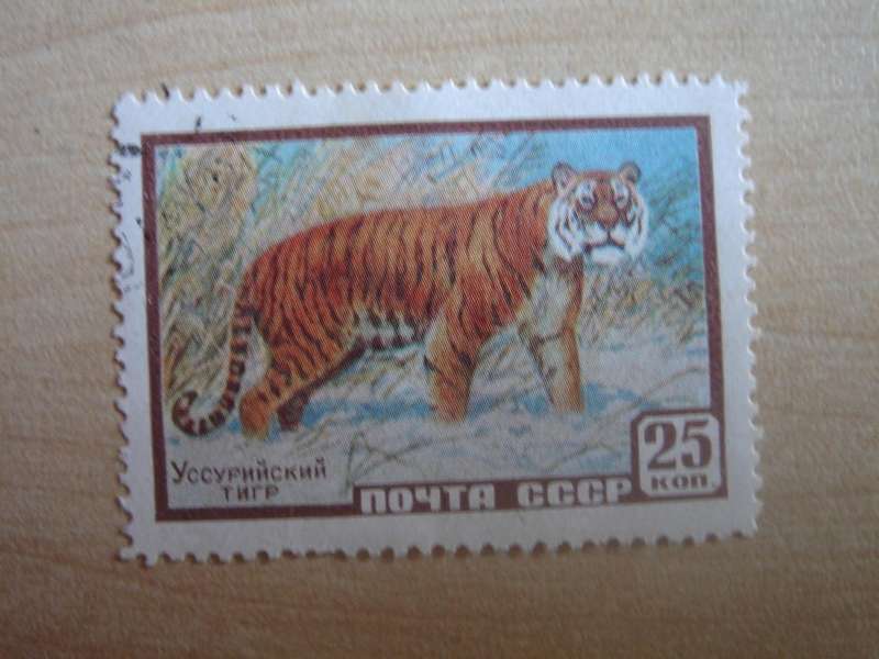 1957 USSR - Siberian Wild Horse - SG2059 b stamped