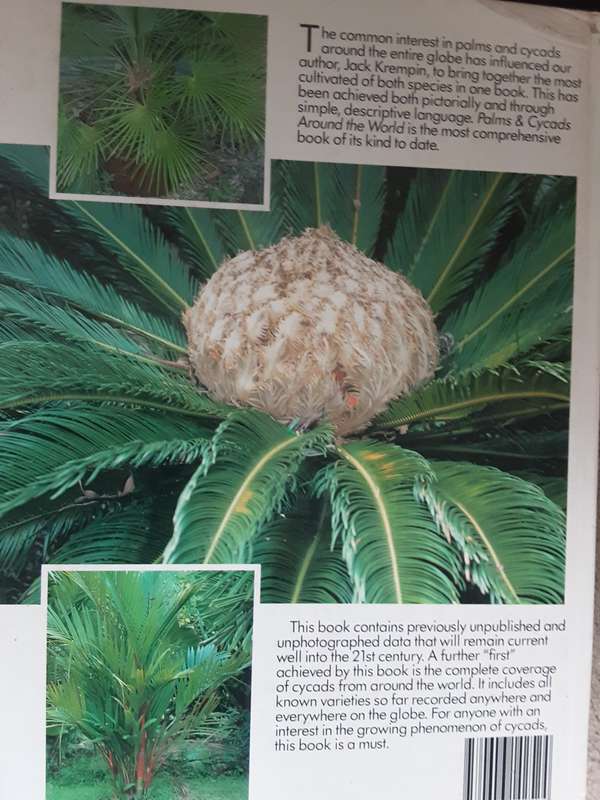 Palms & Cycads Around the World  by Jack Krempin