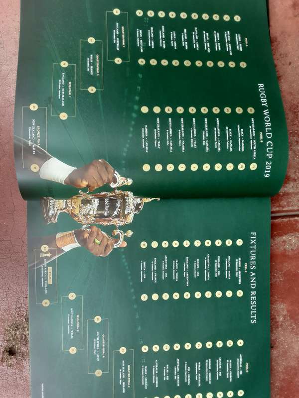 Stronger Together The Springboks Rugby World Cup Victory Japan 2019 **1 of 1190 Copies**