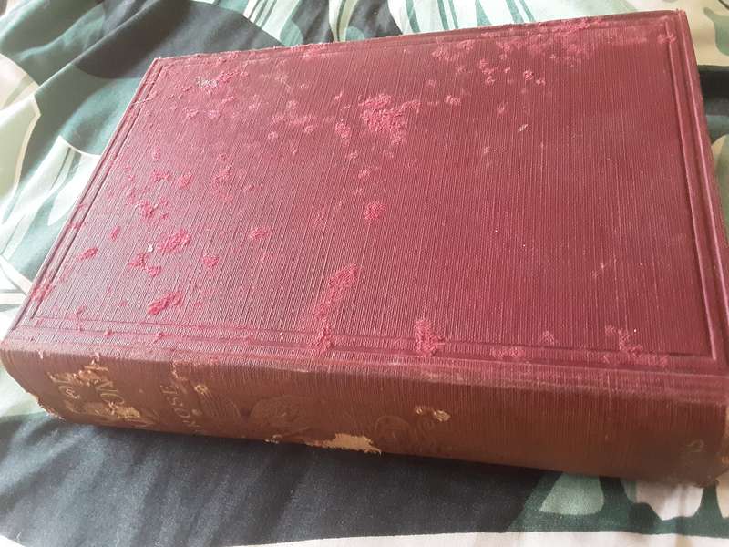 The Life of Napoleon I including new material from the British Official Records by J H Rose