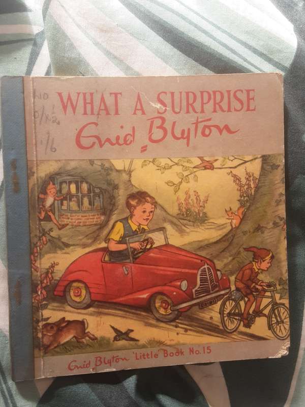 What A Surprise by Enid Blyton, Little Book No 15