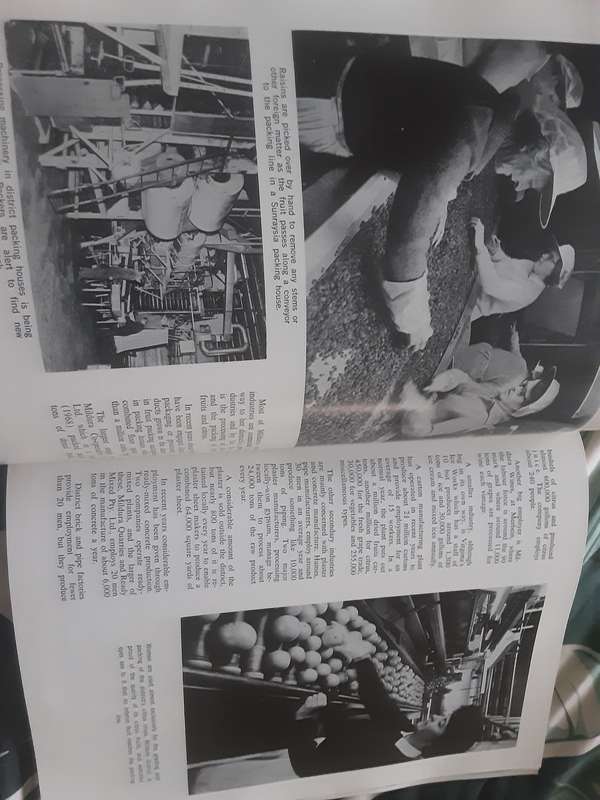 Mildura Into The 70's Yesterday and Today... Mildura District in Words and Pictures ***Scarce ***