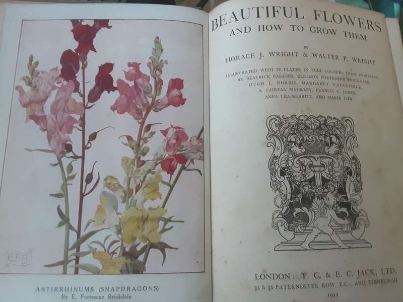 Beautiful Flowers and How to Grow Them by Horace and Walter Wright ***Scarce First Edition ***