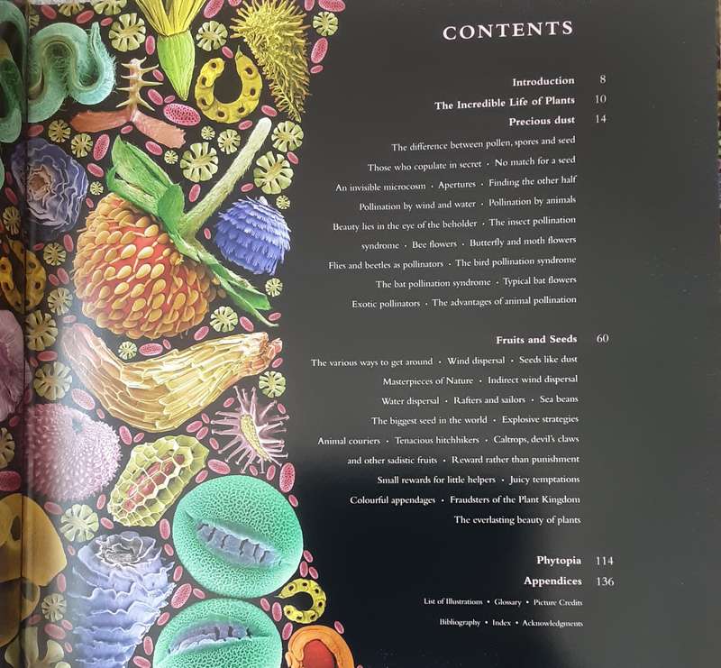 The Bizarre and Incredible World of Plants by Wolfgang Stuppy, Kessler & Harley