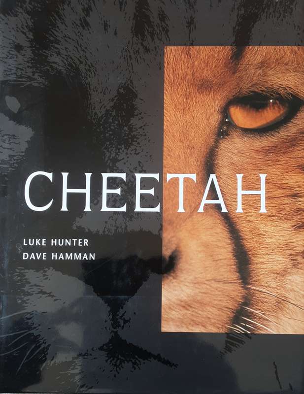 Cheetah by Luke Hunter & Dave Hamman