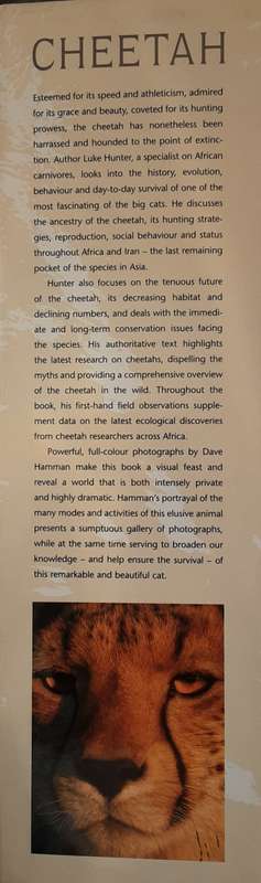 Cheetah by Luke Hunter & Dave Hamman