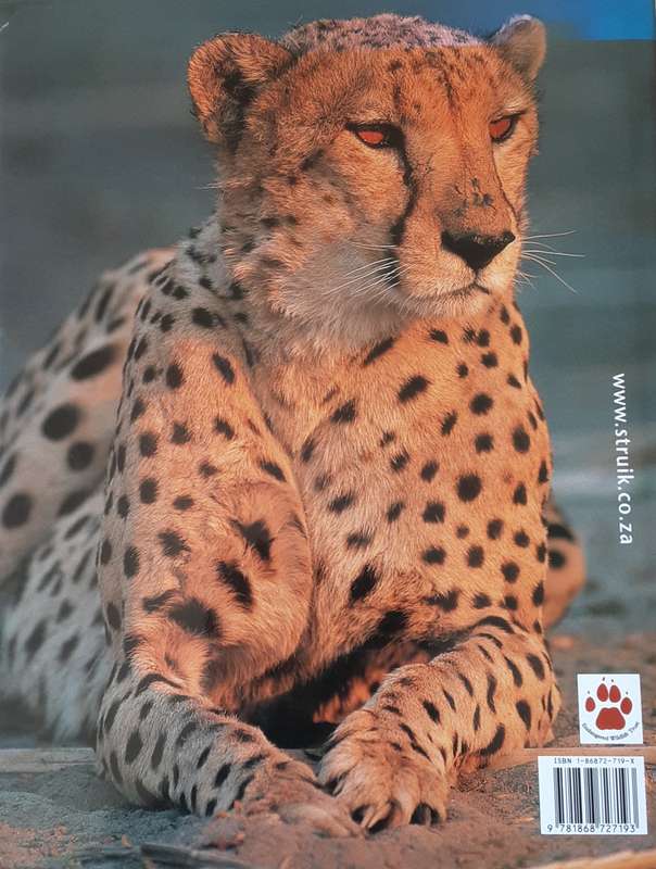 Cheetah by Luke Hunter & Dave Hamman