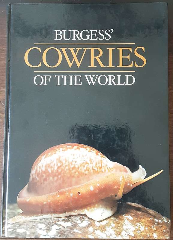Cowries Of The World by C M Burgess