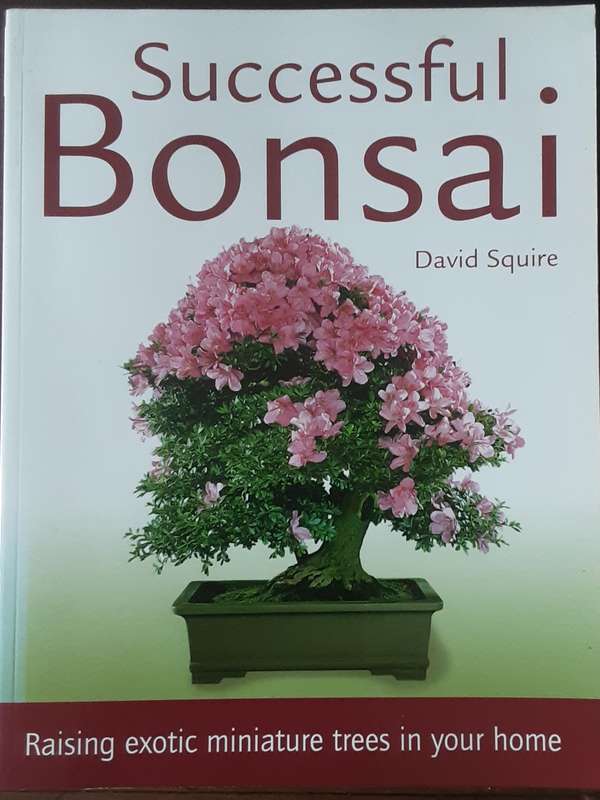 Successful Bonsai by David Squire