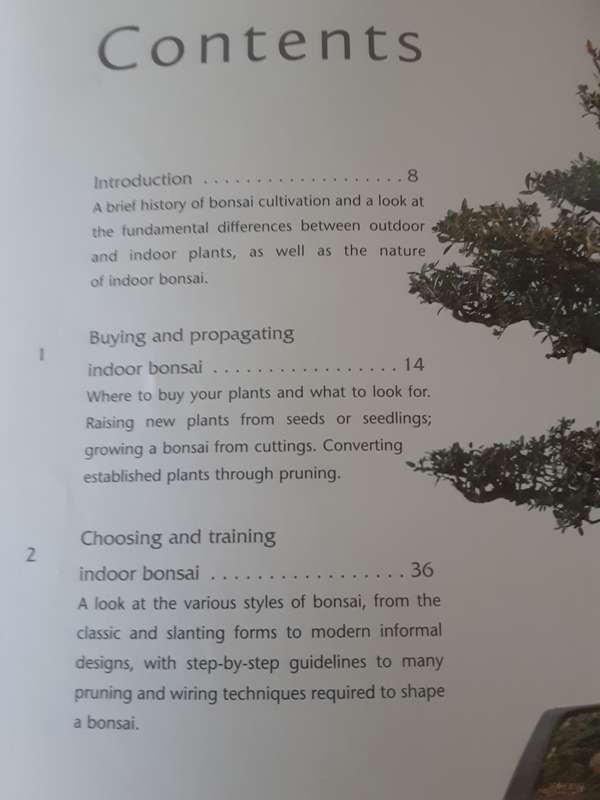 Successful Bonsai by David Squire