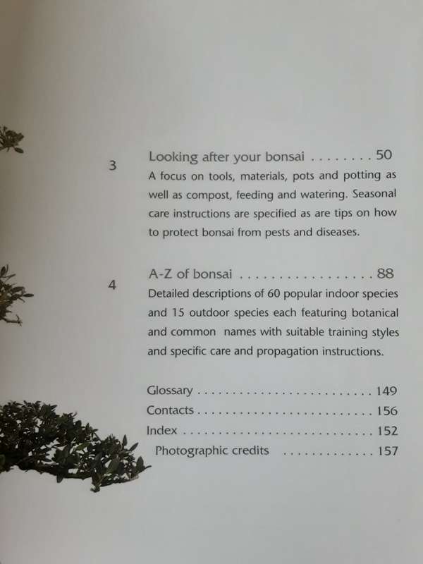 Successful Bonsai by David Squire
