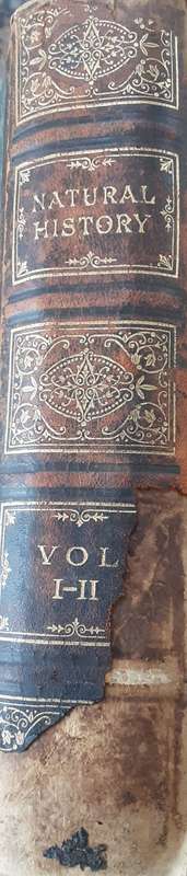 Cassells Popular Natural History, Mammalia illustrated with over 500 Engravings in 2 vols