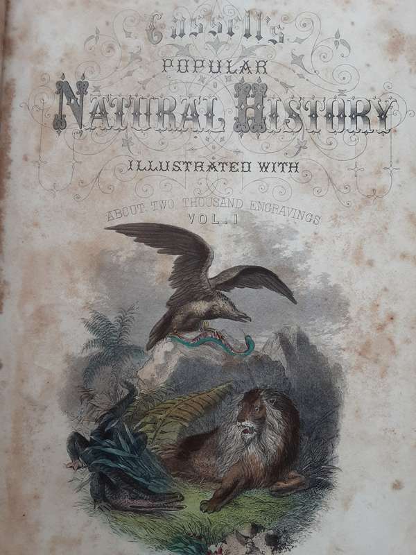 Cassells Popular Natural History, Mammalia illustrated with over 500 Engravings in 2 vols