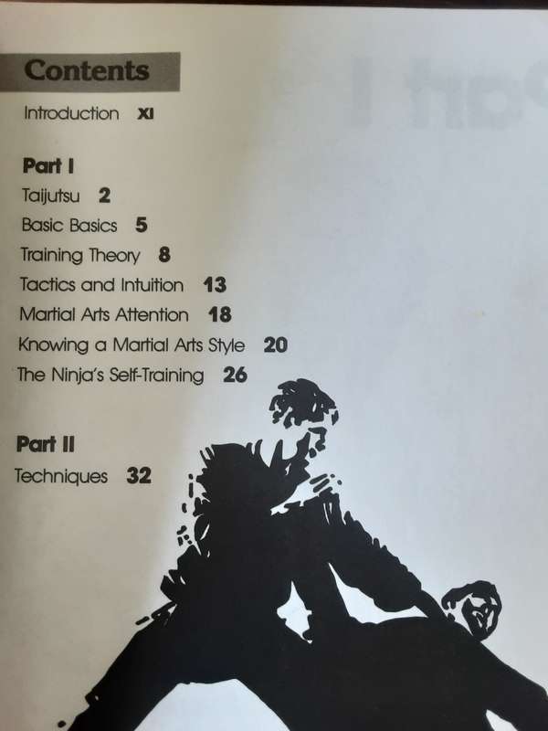Taijutsu, Ninja Art of Unarmed Combat by Charles Daniel