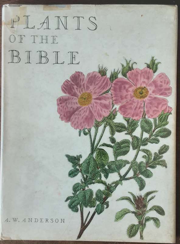 Plants of the Bible by A W Anderson