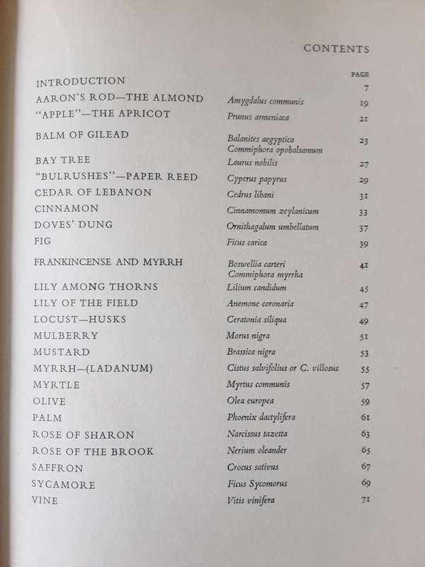 Plants of the Bible by A W Anderson