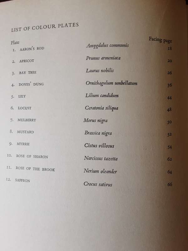 Plants of the Bible by A W Anderson