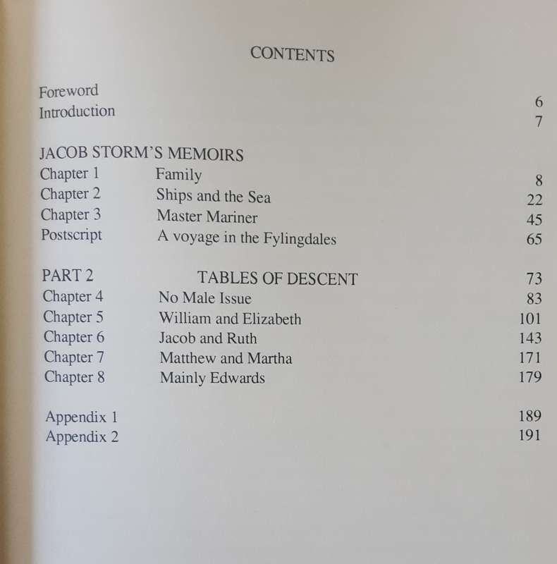 Storm and Company by Alan Storm ***First Edition hardcover ***