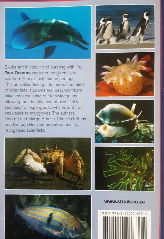 Two Oceans A Guide to the Marine Life of Southern Africa by Branch, Griffiths & Beckley