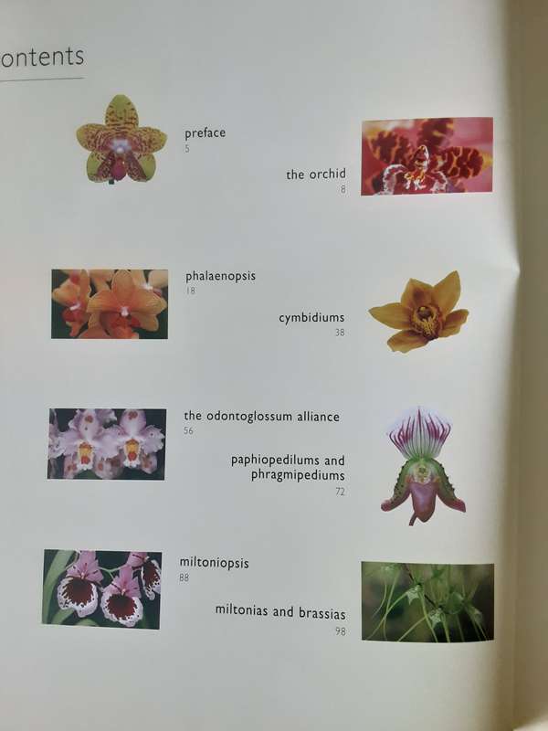 Orchids For Every Home by Wilma and Brian Rittershausen