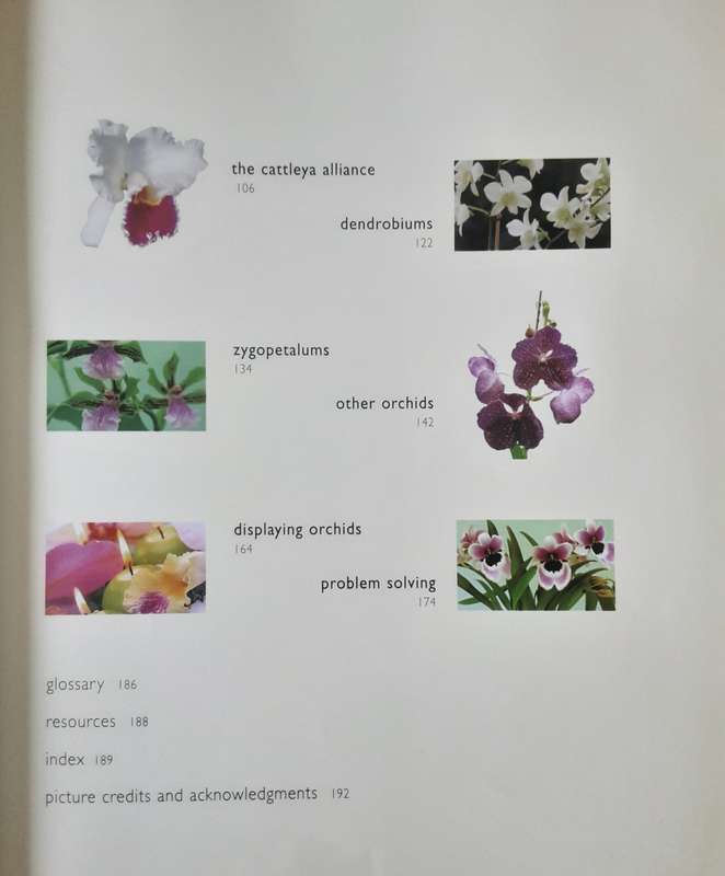 Orchids For Every Home by Wilma and Brian Rittershausen