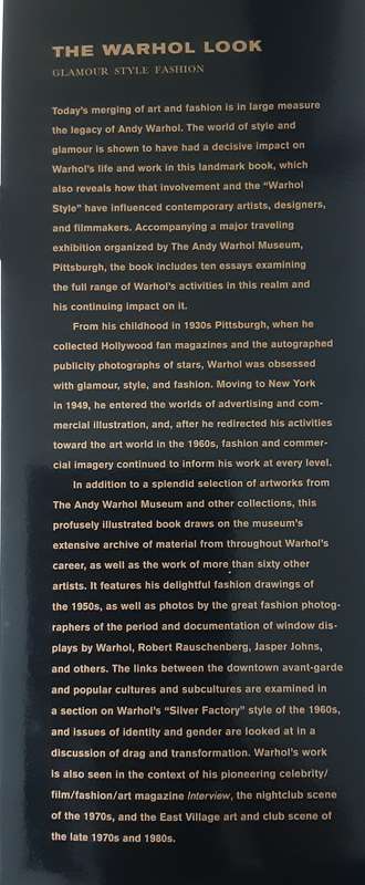 The Warhol Look, Glamour Style Fashion by Mark Francis and Margery King