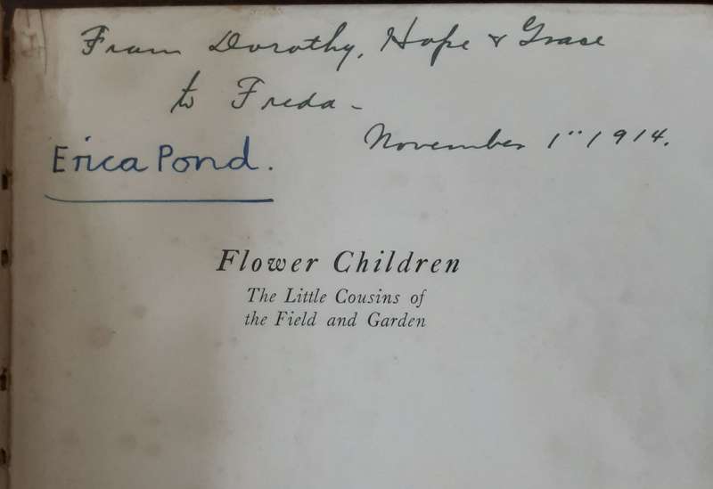 Flower Children, The Little Cousins of the Field and Garden by Elizabeth Gordon