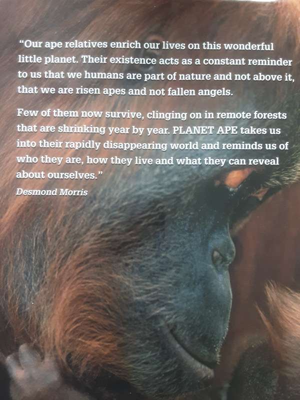 Planet Ape by Desmond Morris