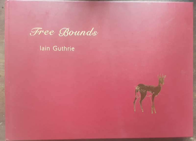 Free Bounds by Iain Guthrie