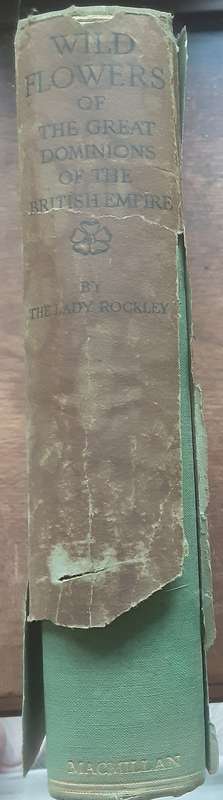 Wild Flowers of the Great Dominions of the British Empire by The Lady Rockley