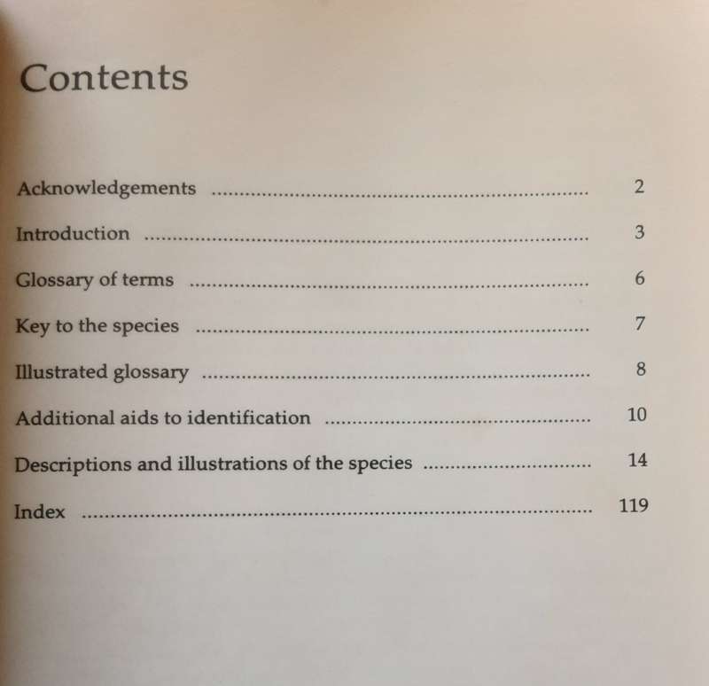 Acacias, A Field Guide to the Acacias of Southern Africa by Davidson & Jeppe