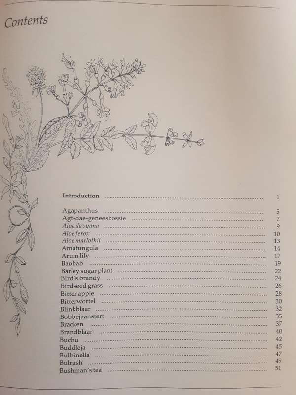 Margaret Roberts Indigenous Healing Plants