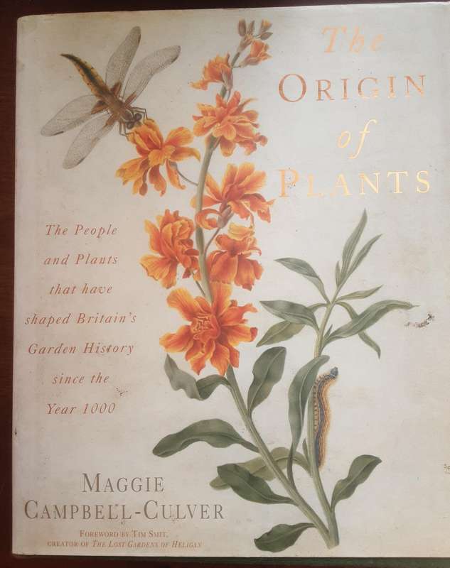 The Origin of Plants by Maggie Campbell Culver