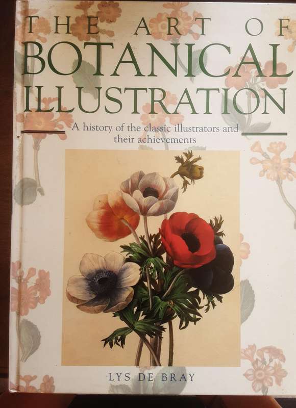 The Art of Botanical Illustration  by Lys De Bray