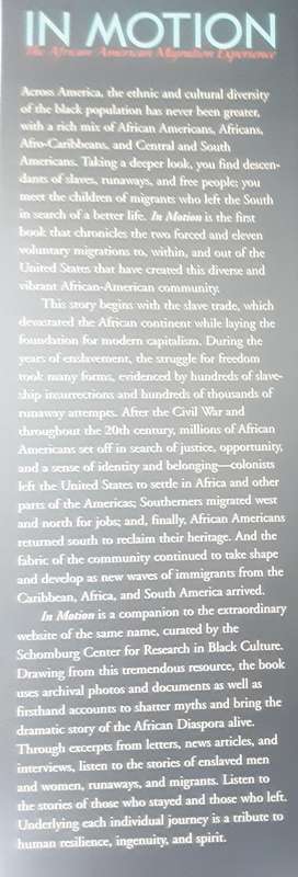 In Motion The African American Migration Experience by Howard Didson and Slyviane A Diouf