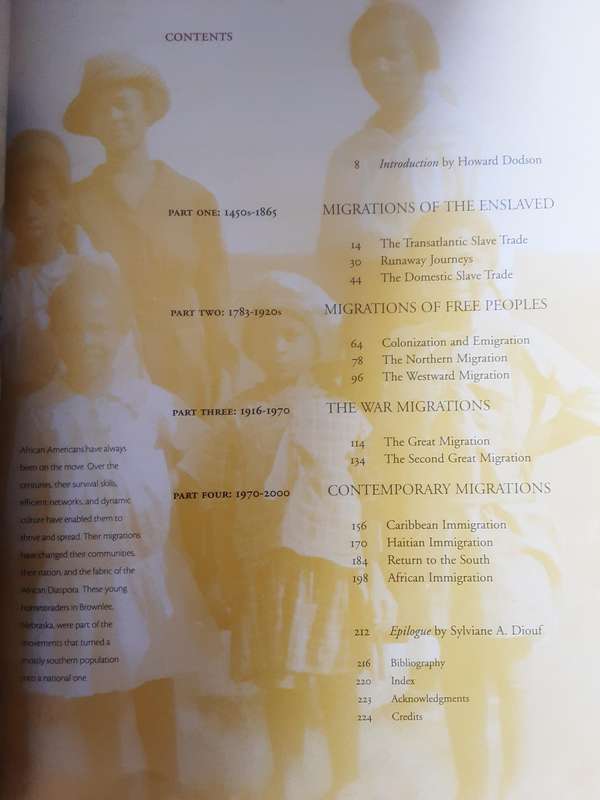 In Motion The African American Migration Experience by Howard Didson and Slyviane A Diouf