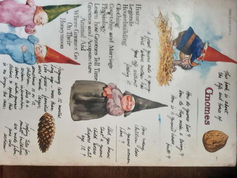 Gnomes text by Wil Huygen illustrated by Rien Poortvliet