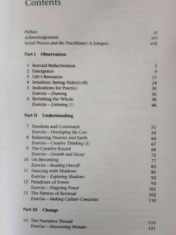 Development Practitioners and Social Process, Artists of the Invisible by Allen Kaplan